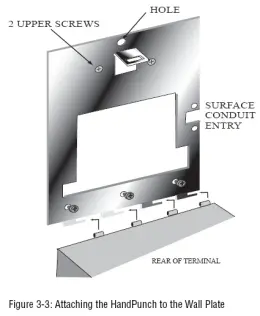 Hand Punch Backplate