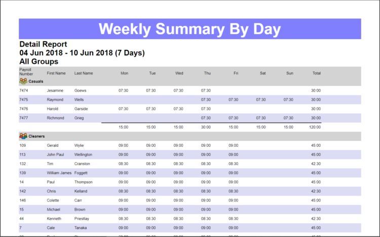 A Timesheet Management summary report from Focus.net