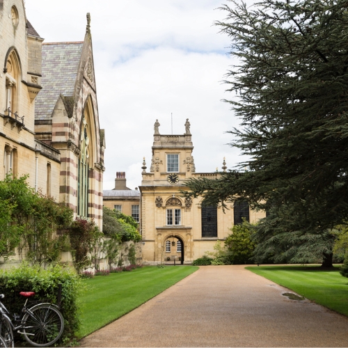 Higher Education